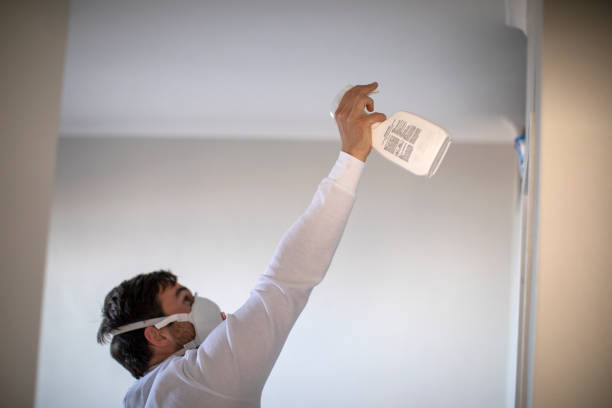 Best Toxic Mold Removal  in Bunk Foss, WA