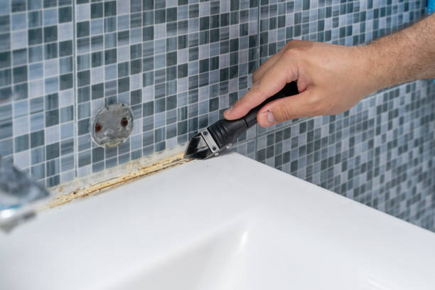 Best Office Mold Removal Services  in Bunk Foss, WA