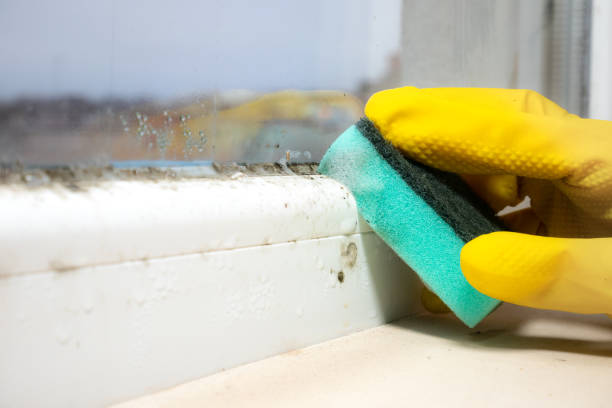 Best Mold Testing  in Bunk Foss, WA
