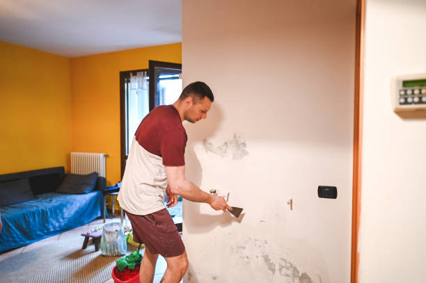 Professional Mold Removal in Bunk Foss, WA