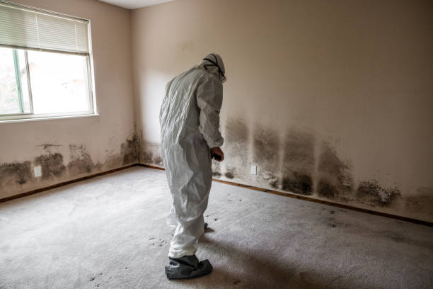 Best Crawl Space Mold Removal  in Bunk Foss, WA