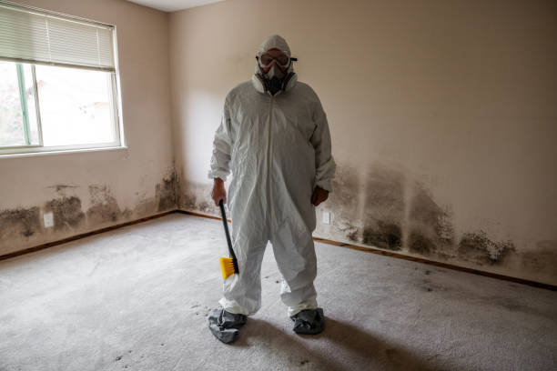 Best Fast Mold Removal  in Bunk Foss, WA